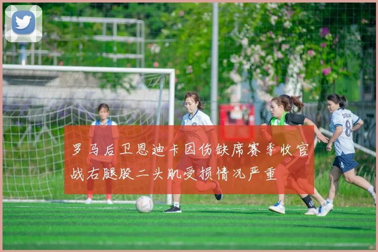 罗马后卫恩迪卡因伤缺席赛季收官战右腿股二头肌受损情况严重