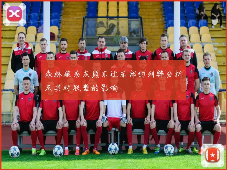 森林狼或灰熊东迁东部的利弊分析及其对联盟的影响